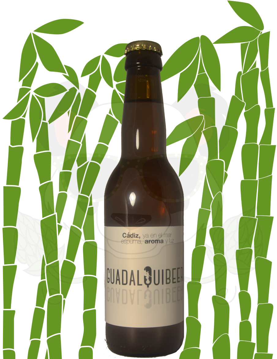 Guadalquibeer Cadiz